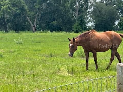 14854 JACKSONVILLE ROAD — photo 5 of 7