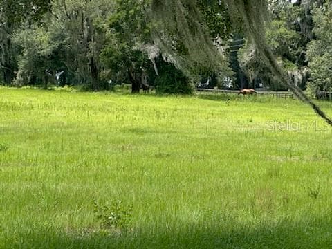 14854 JACKSONVILLE ROAD — photo 4 of 7
