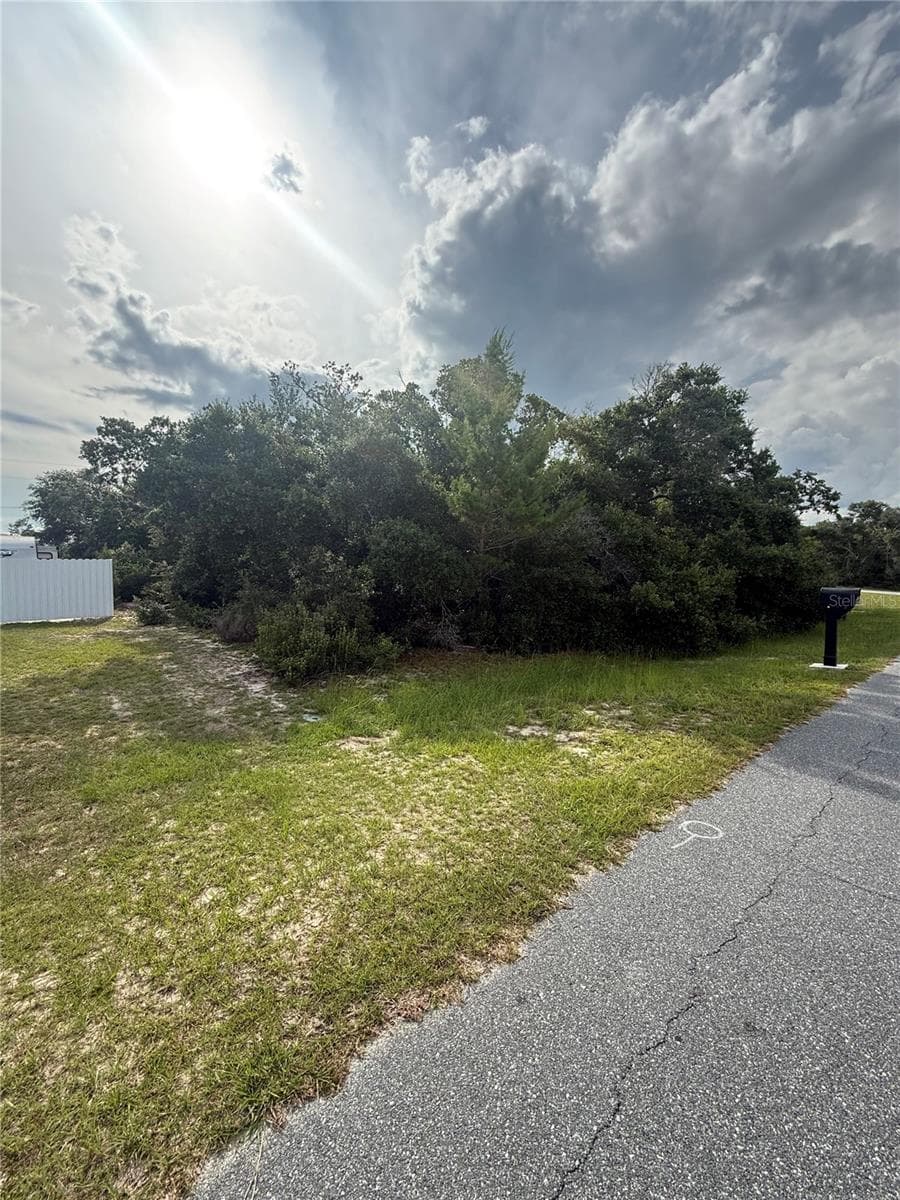 TBD 161ST LOOP — photo 2 of 3
