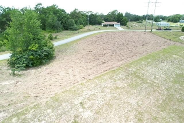 LOCUST STREET — photo 15 of 16