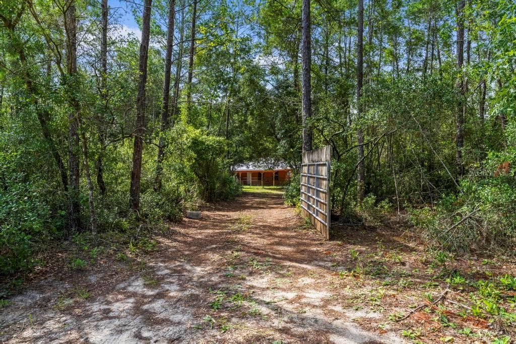 24607 POLAR BEAR ROAD — photo 7 of 52