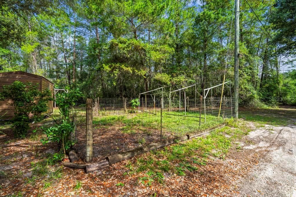24607 POLAR BEAR ROAD — photo 43 of 52
