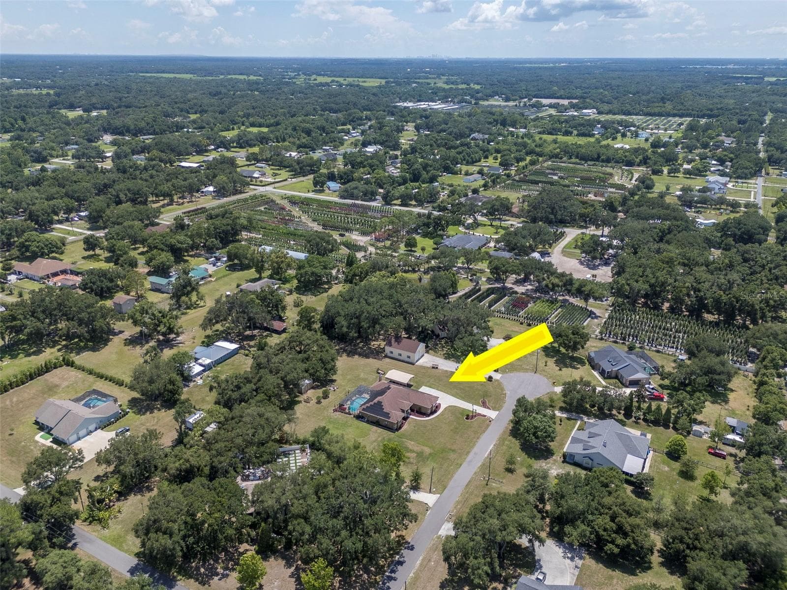 3823 ANCIENT OAK TRAIL — photo 70 of 93