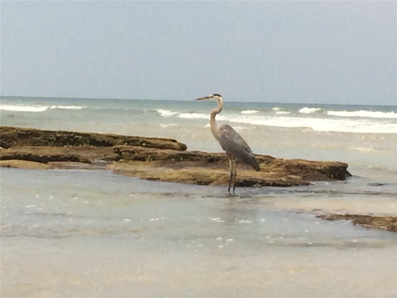38 LAUGHING GULL LANE — photo 5 of 17