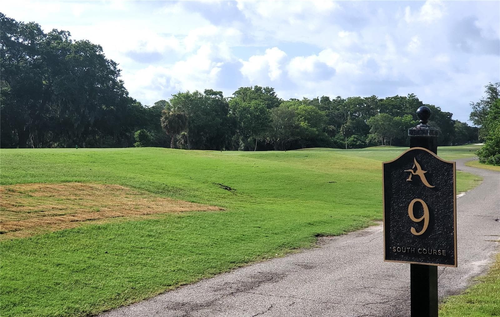 100 WATER OAK WAY — photo 49 of 68