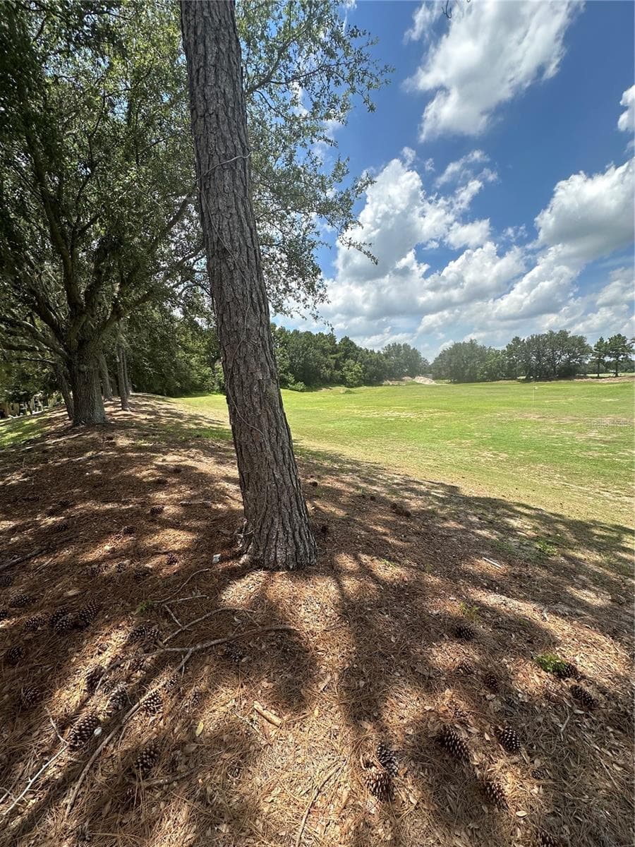 27001 WHITE PLAINS WAY — photo 40 of 43