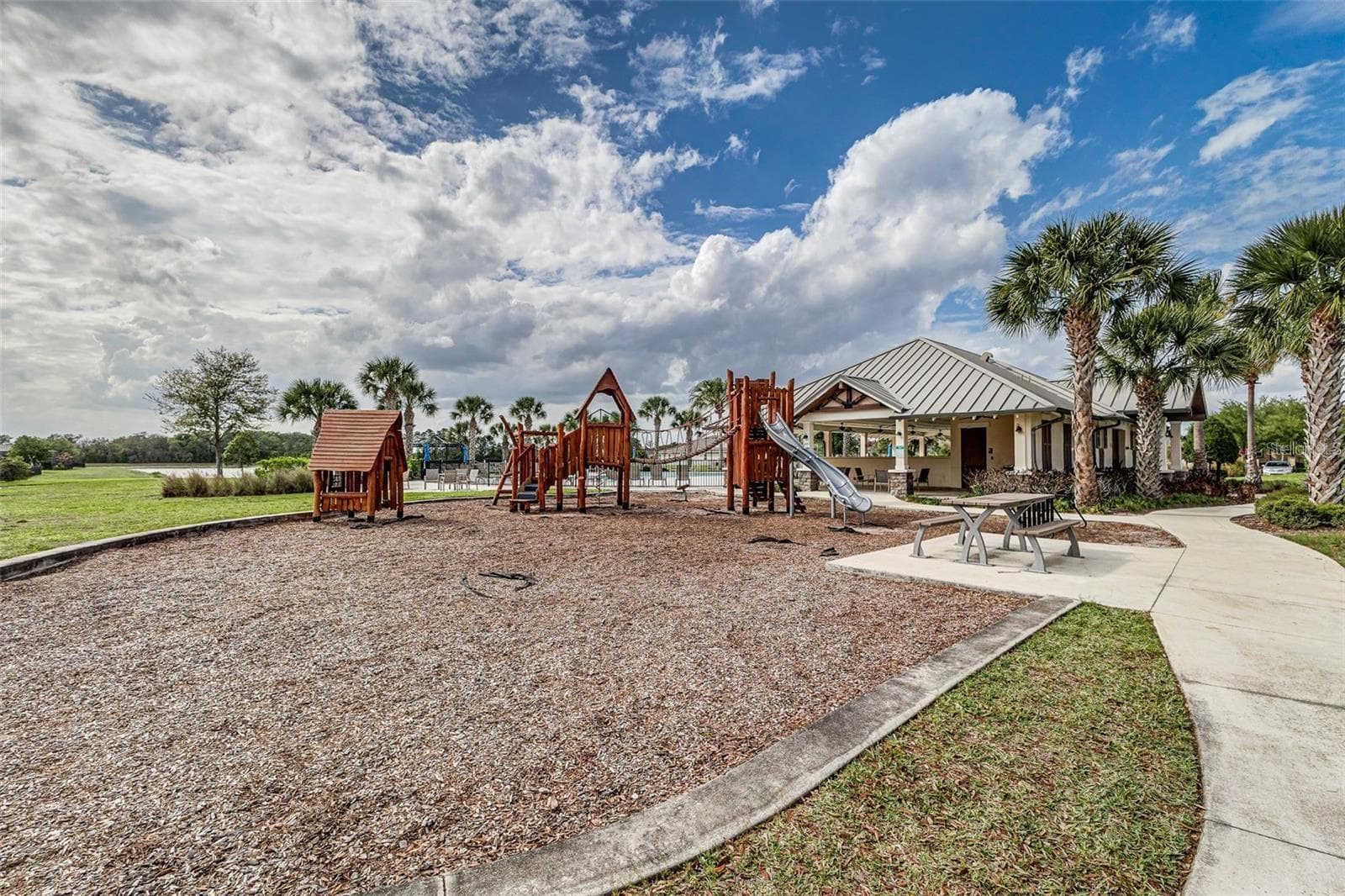 11670 CAMBIUM CROWN DRIVE — photo 48 of 53