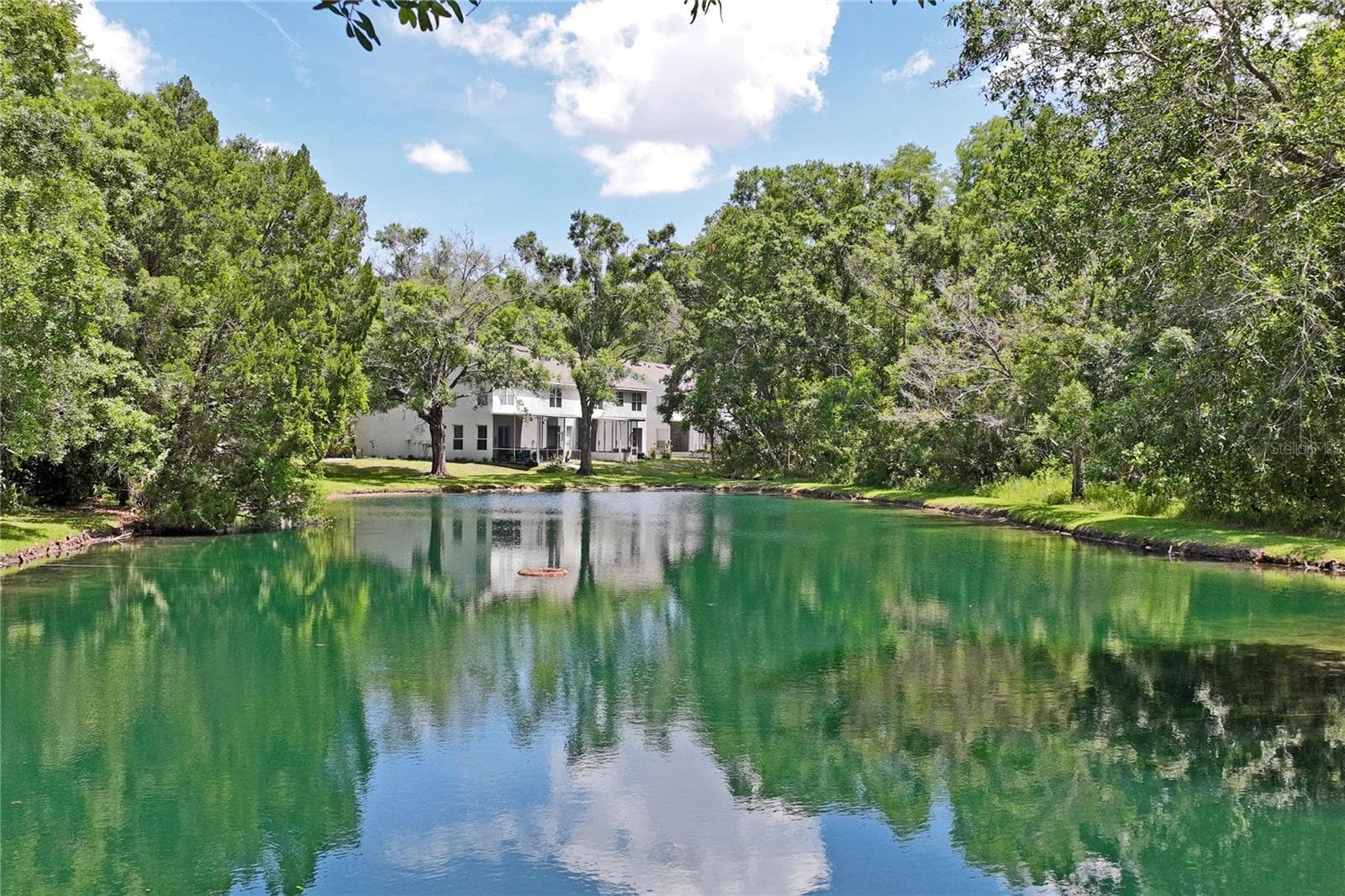 12742 WOOD TRAIL BLVD BOULEVARD — photo 42 of 49