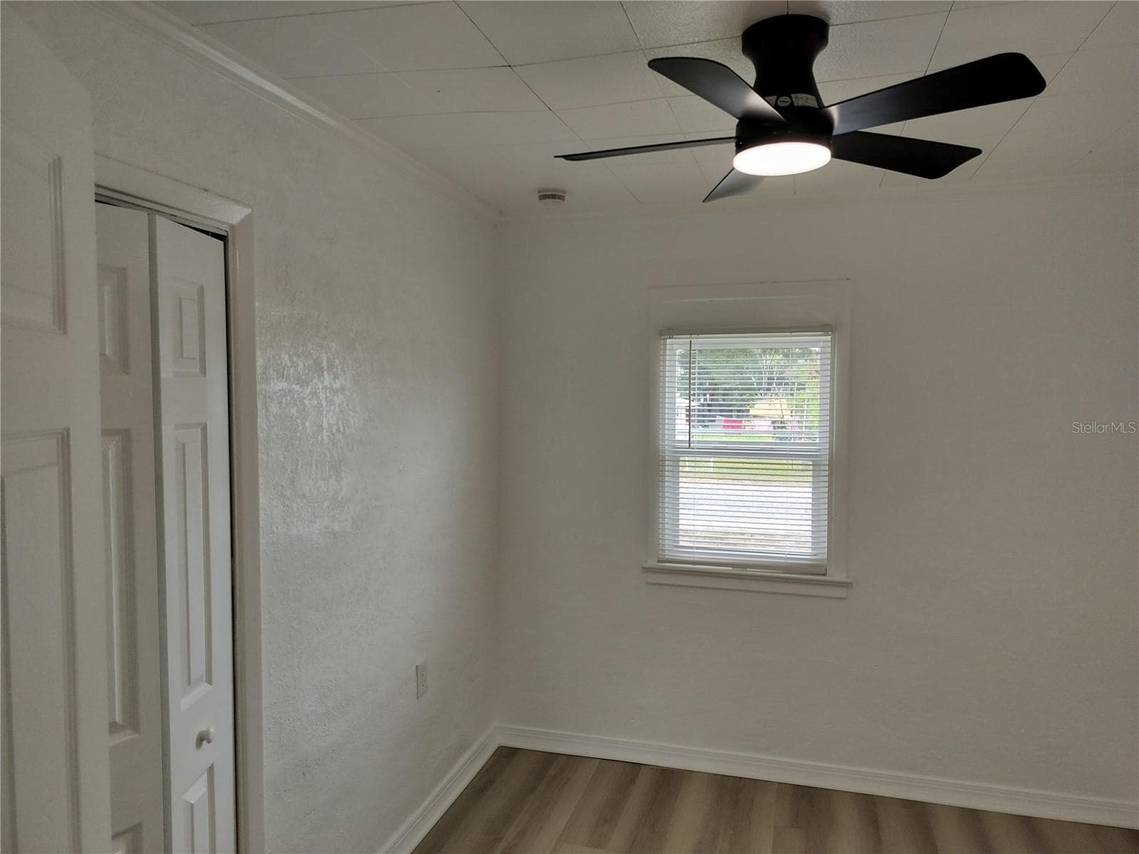 2135 ELIZABETH STREET — photo 13 of 18