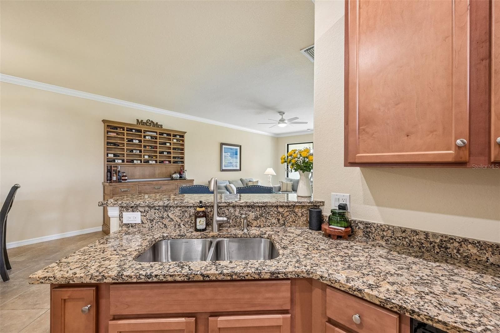 12664 FELICE DRIVE — photo 18 of 65
