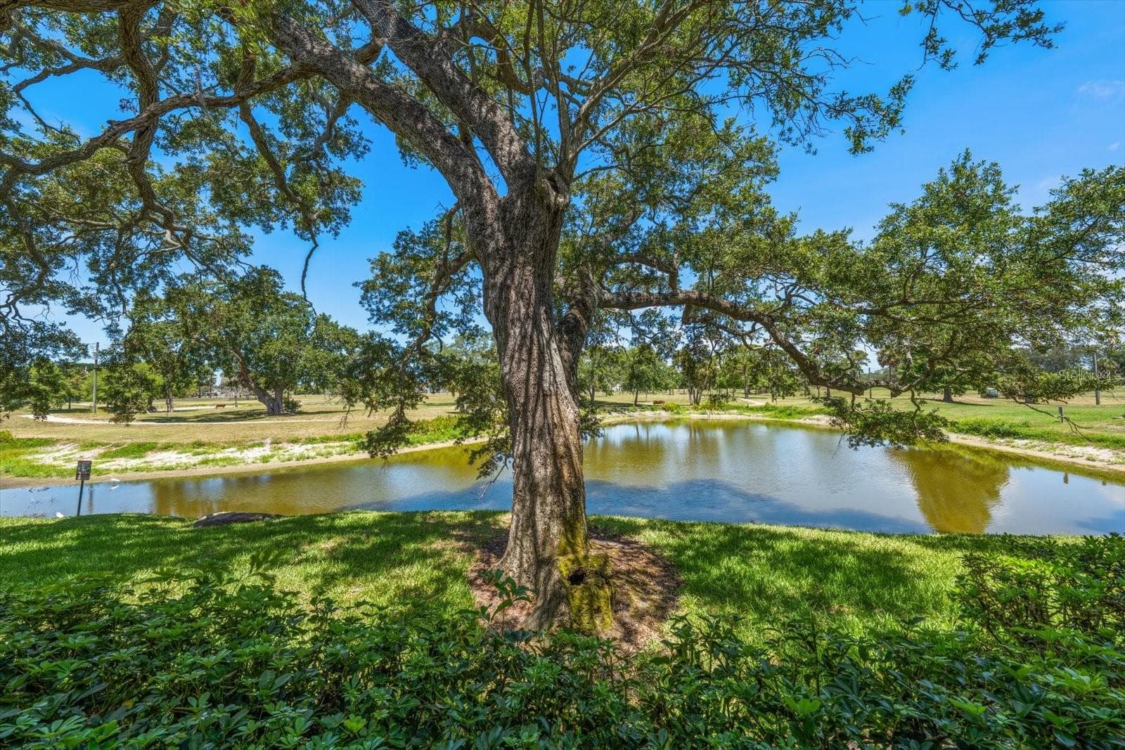2152 GULF VIEW BOULEVARD — photo 3 of 63