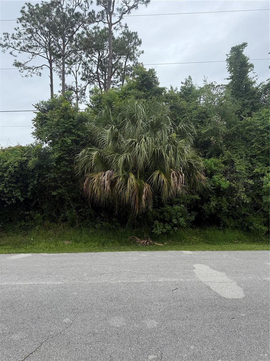 38 SQUASH BLOSSOM TRAIL