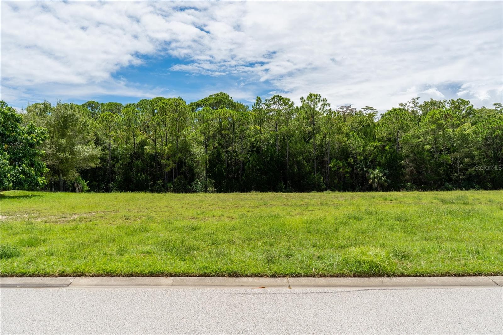 4050 JEWFISH DRIVE — photo 13 of 37