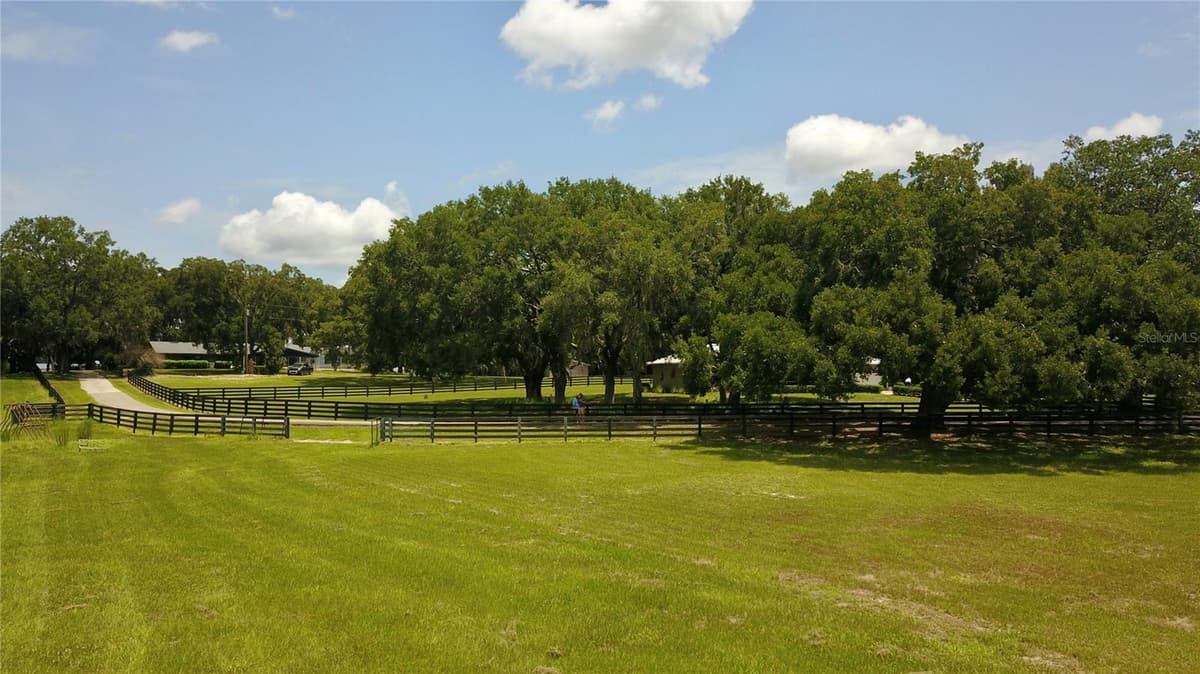16945 PHIL C PETERS ROAD — photo 30 of 54