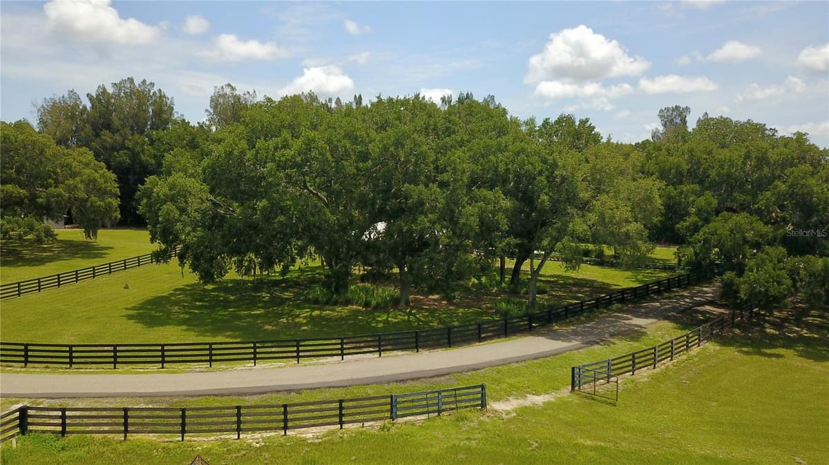 16945 PHIL C PETERS ROAD — photo 23 of 54