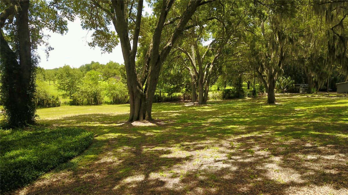 16945 PHIL C PETERS ROAD — photo 36 of 54