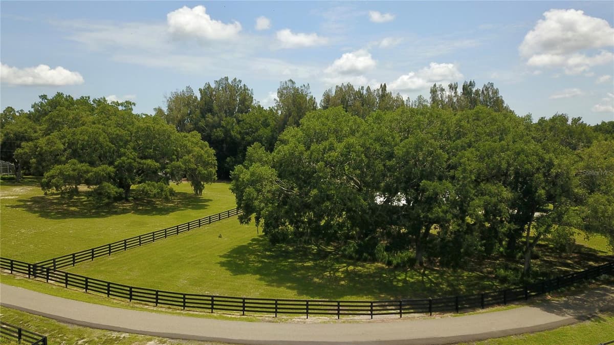 16945 PHIL C PETERS ROAD — photo 22 of 54
