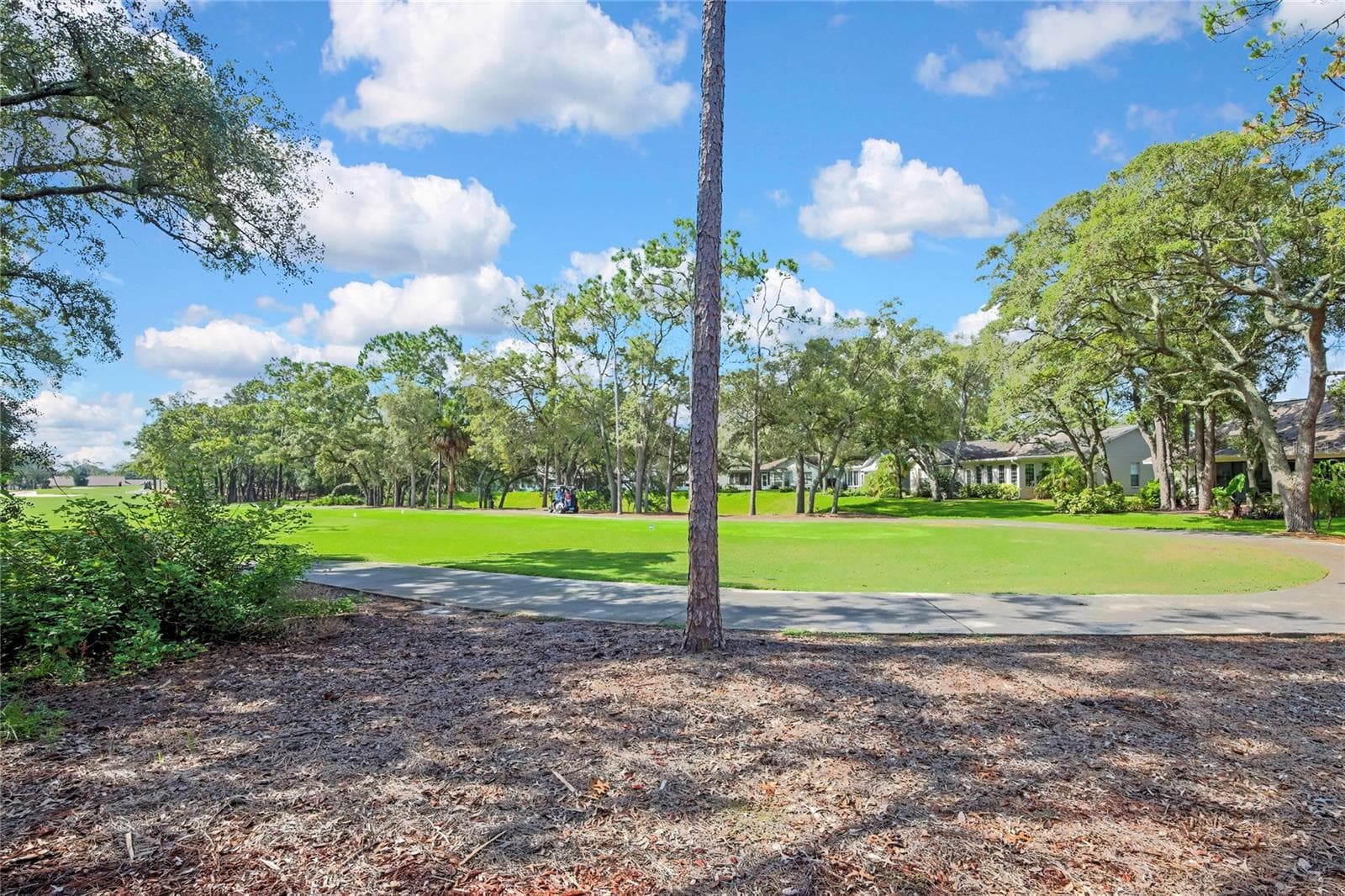 6577 PINE MEADOWS DRIVE — photo 28 of 34