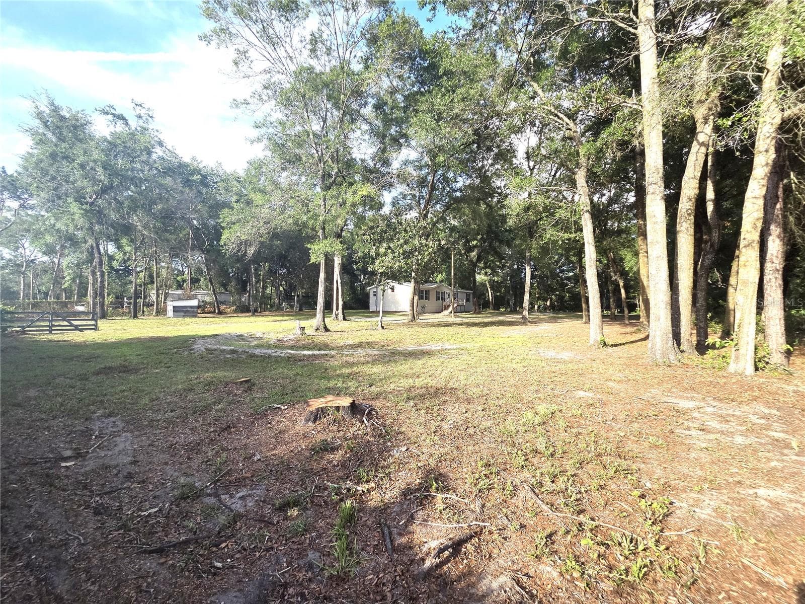 18314 DEASON DRIVE — photo 24 of 28