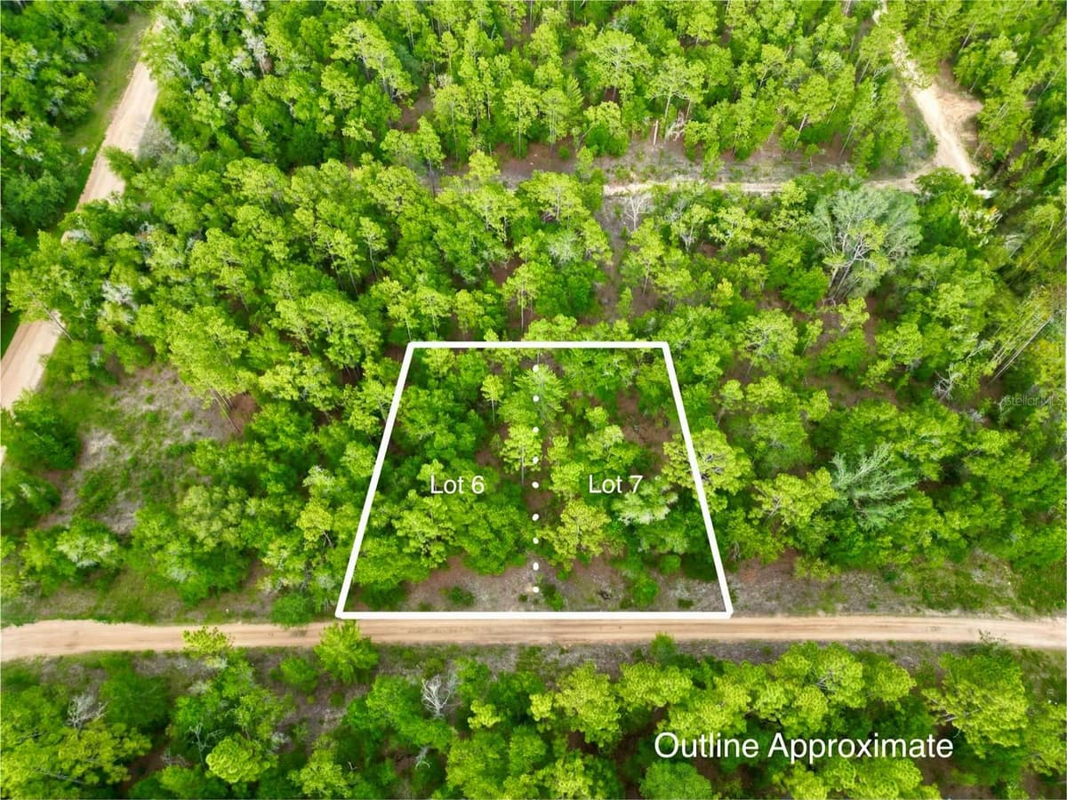 125 SILVER DOLLAR POND ROAD — photo 28 of 36