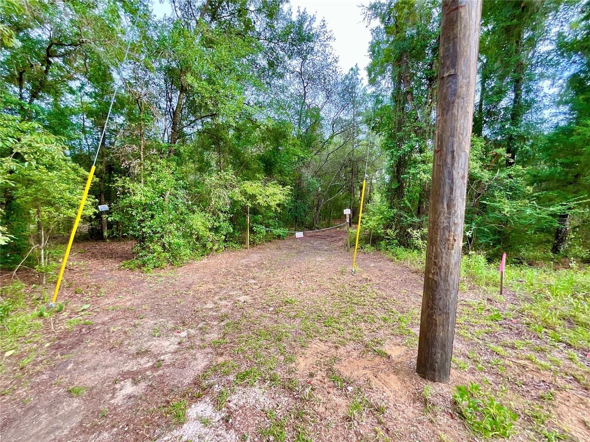 125 SILVER DOLLAR POND ROAD — photo 9 of 36