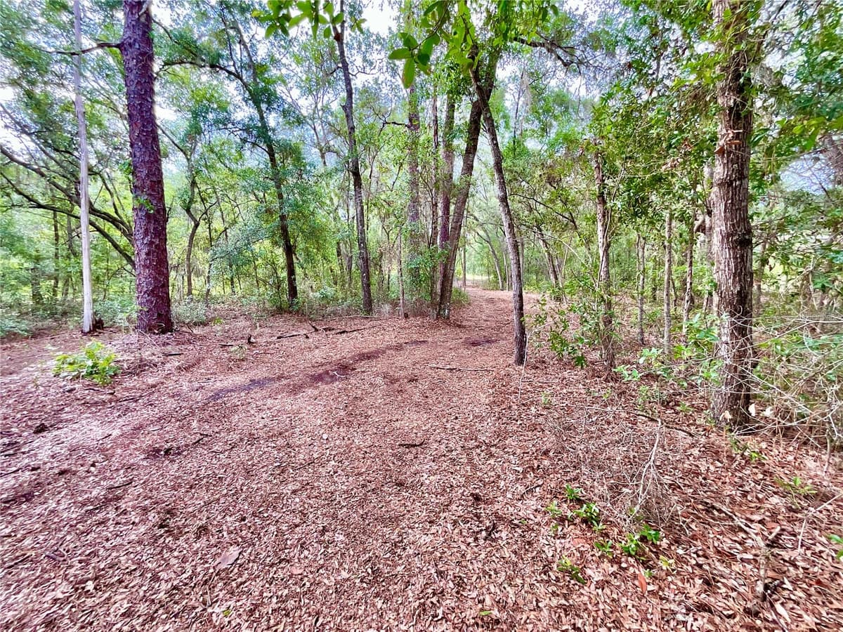 125 SILVER DOLLAR POND ROAD — photo 10 of 36