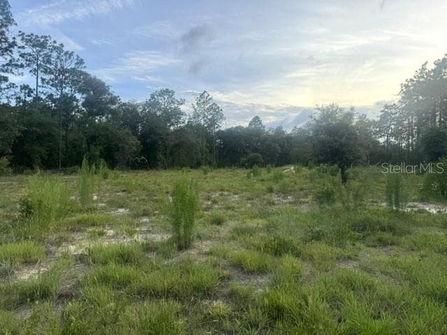 Vacant Land MINEOLA LANE — photo 2 of 3