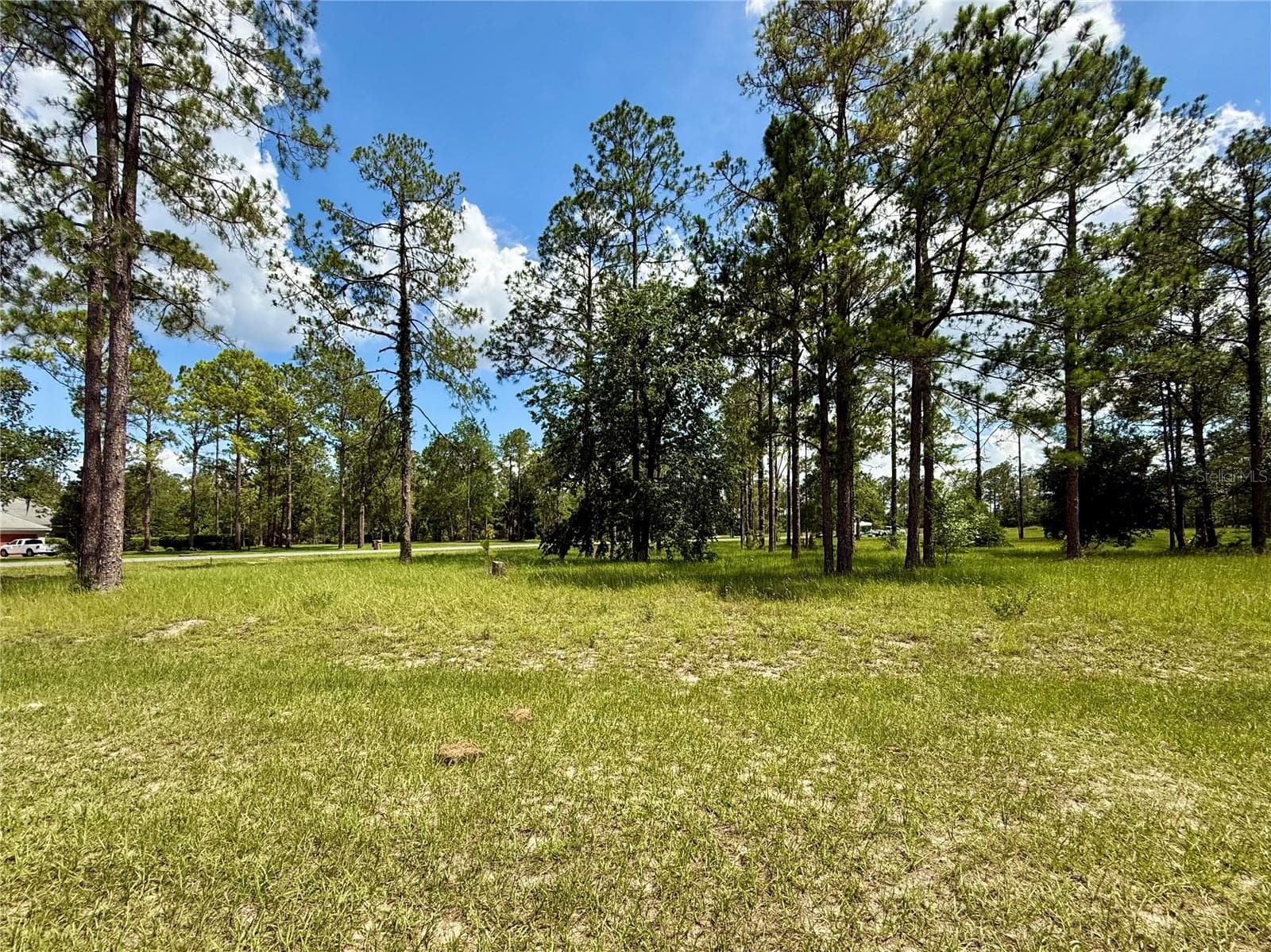35135 PINEGATE TRAIL — photo 9 of 28