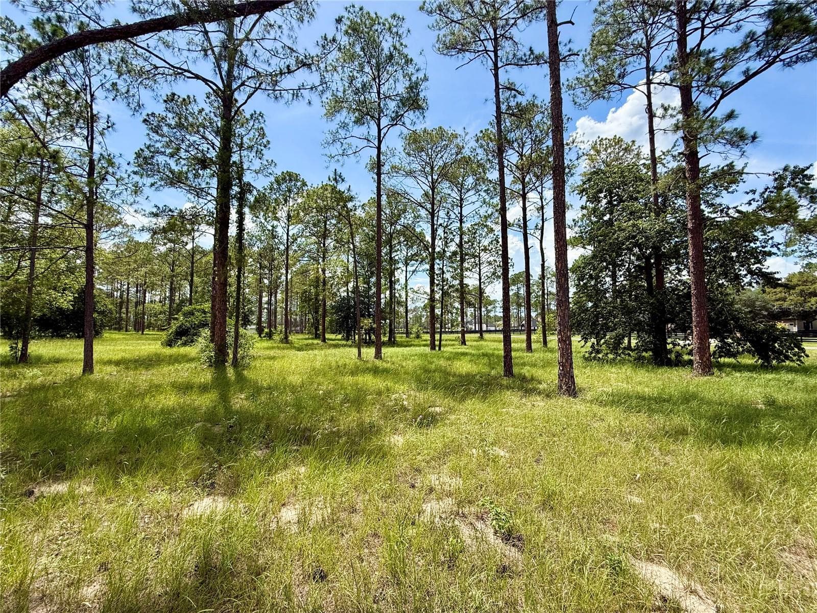 35135 PINEGATE TRAIL — photo 8 of 28