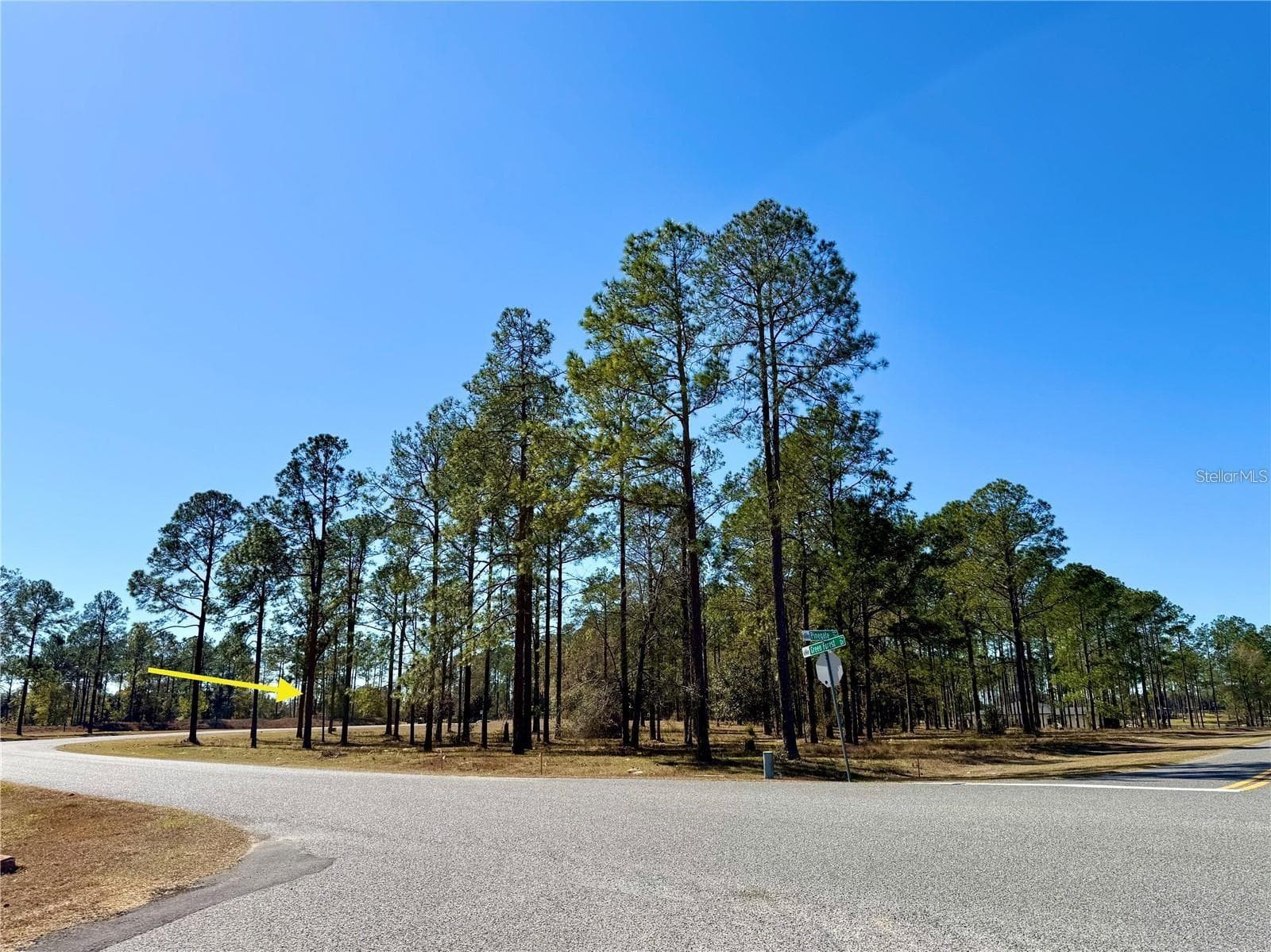 35135 PINEGATE TRAIL — photo 13 of 28