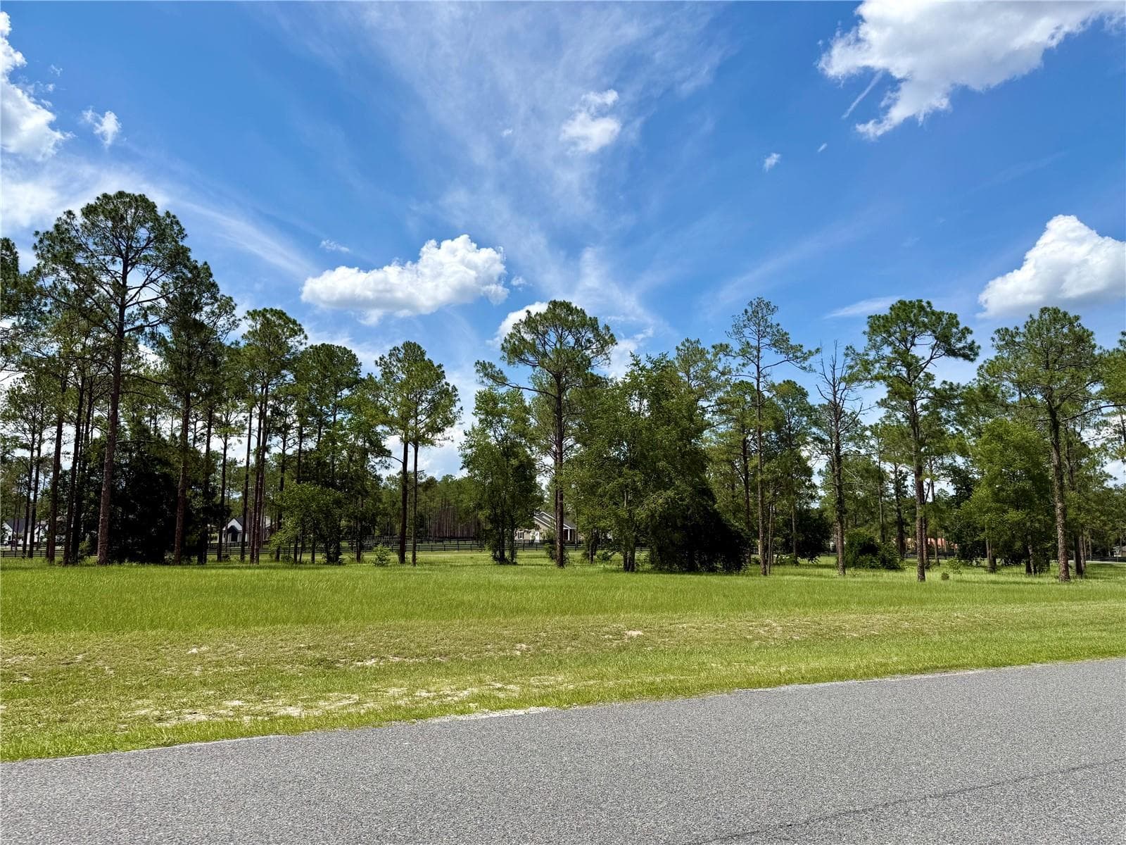 35135 PINEGATE TRAIL — photo 4 of 28