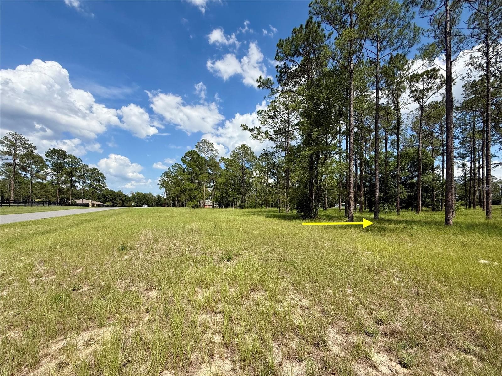 35135 PINEGATE TRAIL — photo 21 of 28