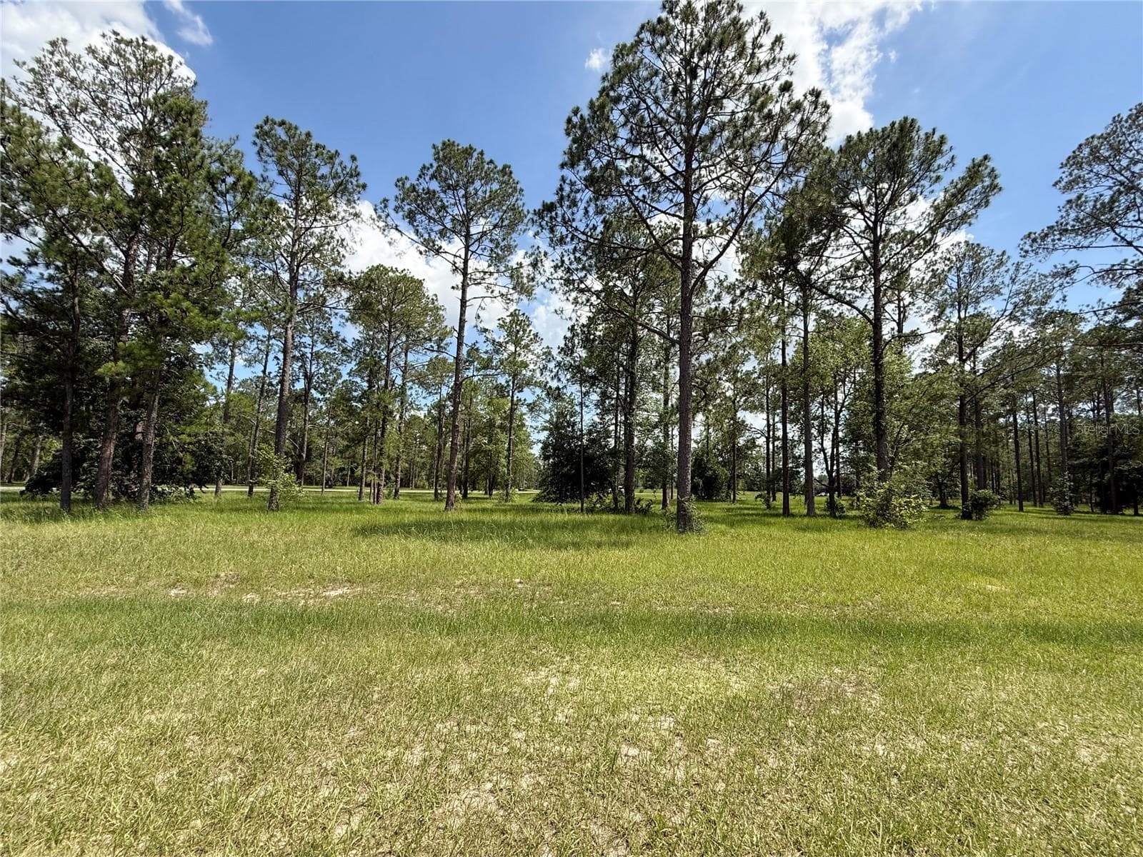 35135 PINEGATE TRAIL — photo 10 of 28