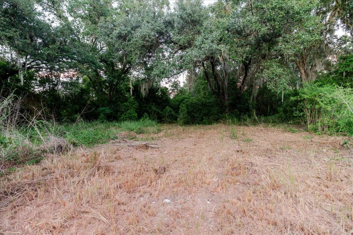 11152 GALAXY LANE — photo 38 of 75