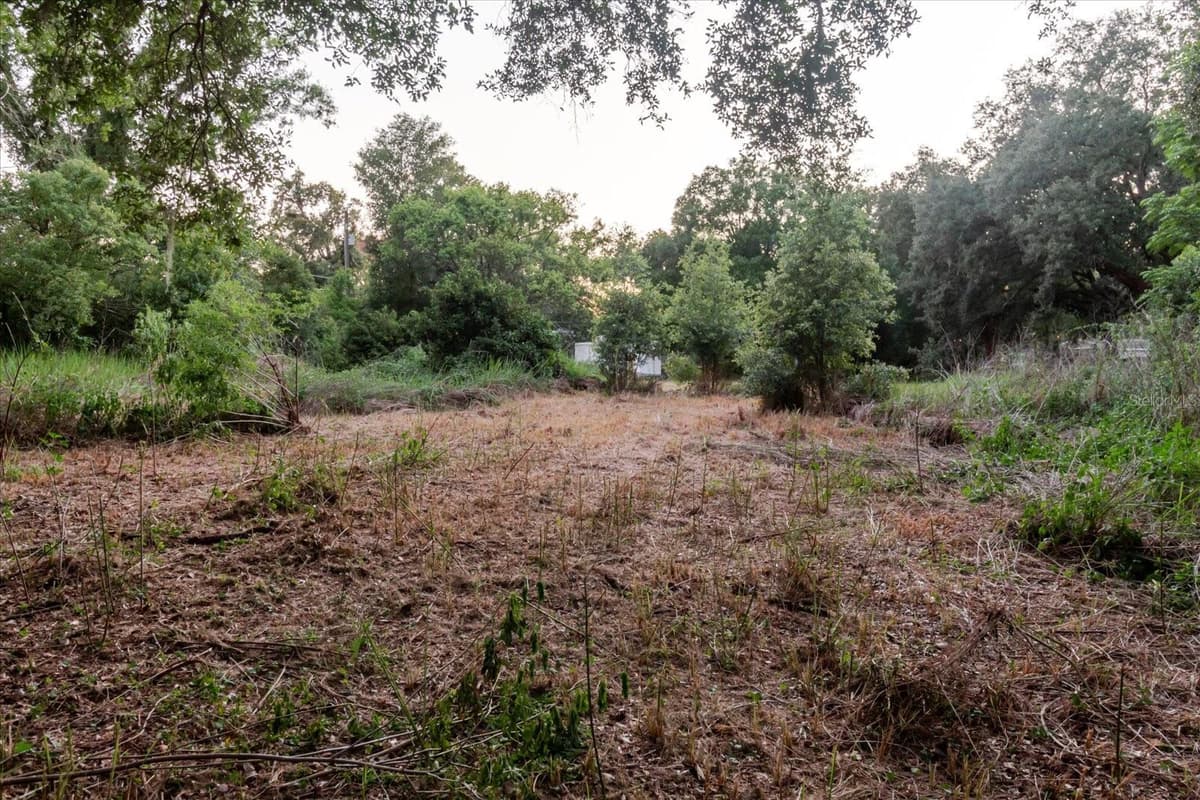 11152 GALAXY LANE — photo 39 of 75