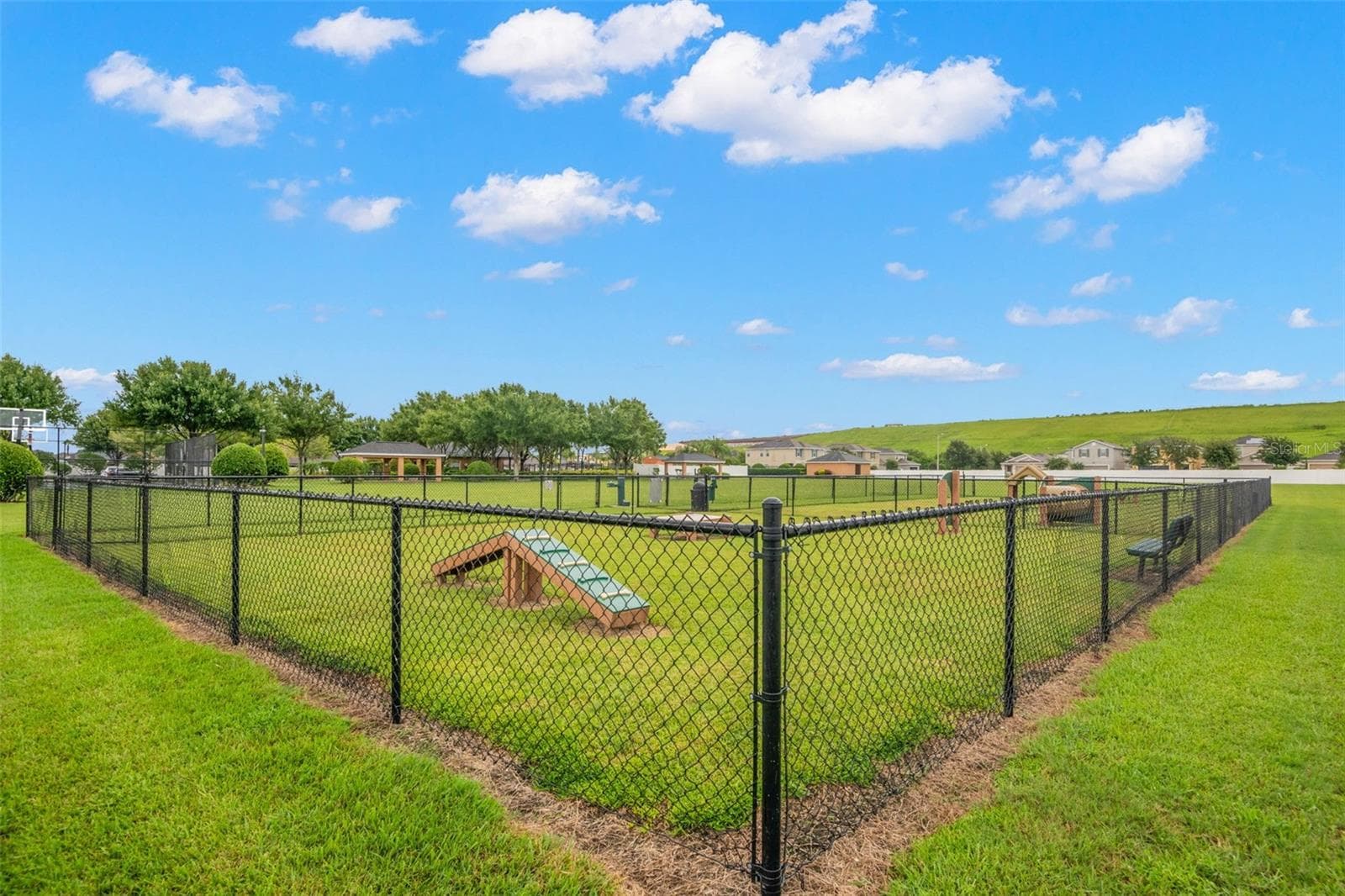 10515 CARLOWAY HILLS DRIVE — photo 66 of 68