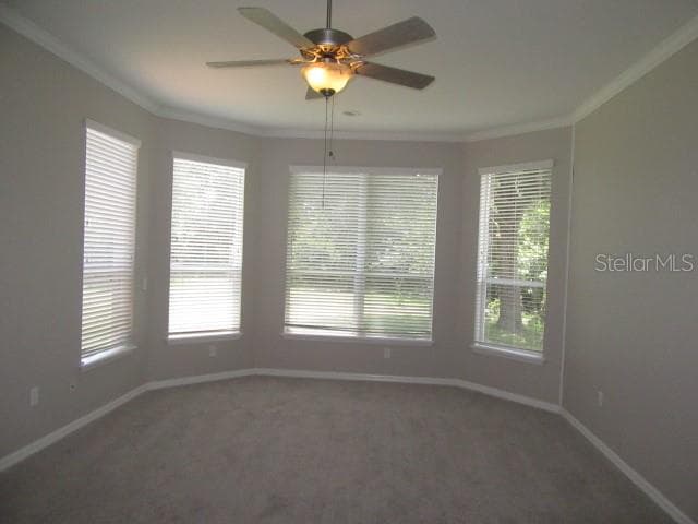 7015 CARDINALWOOD LANE — photo 15 of 24