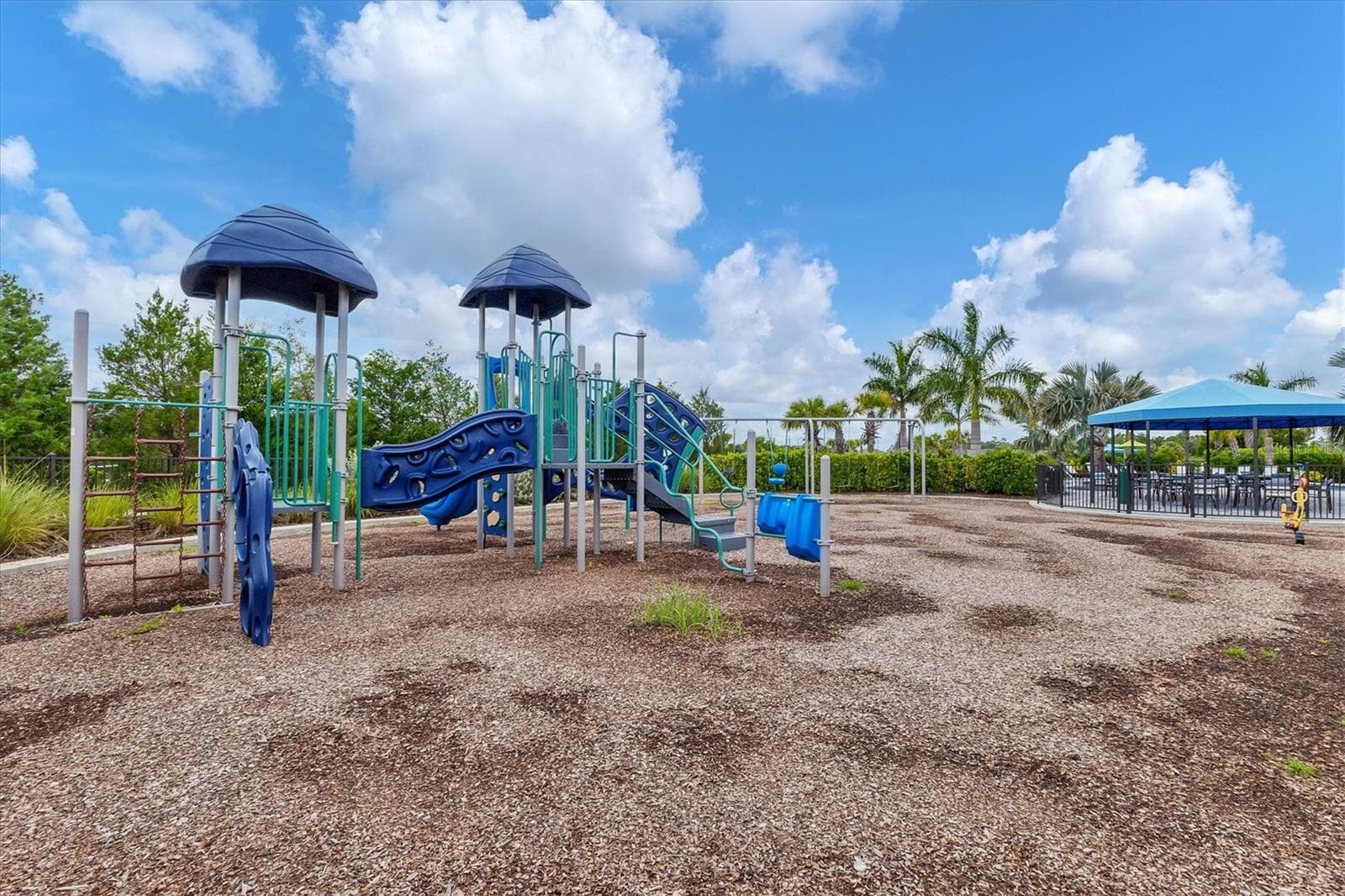 2321 BLUE MAHOE LANE — photo 48 of 51