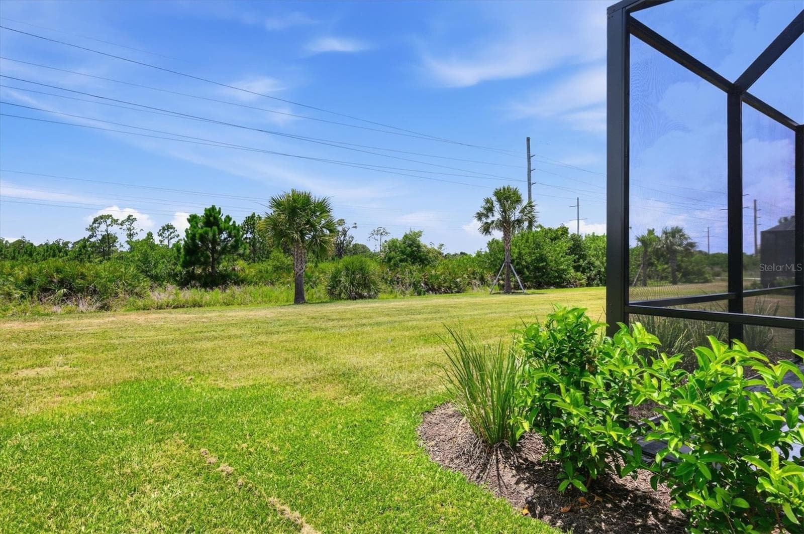 2321 BLUE MAHOE LANE — photo 33 of 51