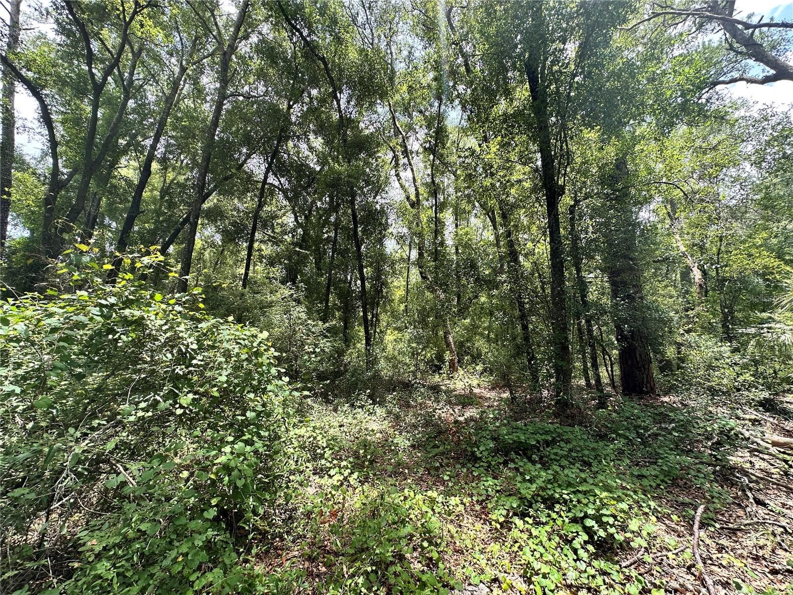 COUNTY ROAD 349 N. — photo 12 of 15