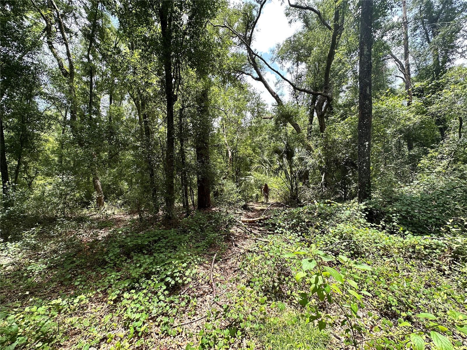 COUNTY ROAD 349 N. — photo 11 of 15