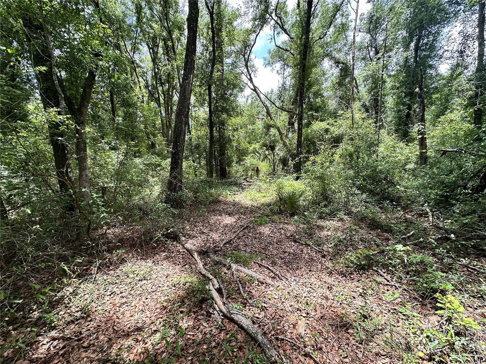 COUNTY ROAD 349 N. — photo 13 of 15