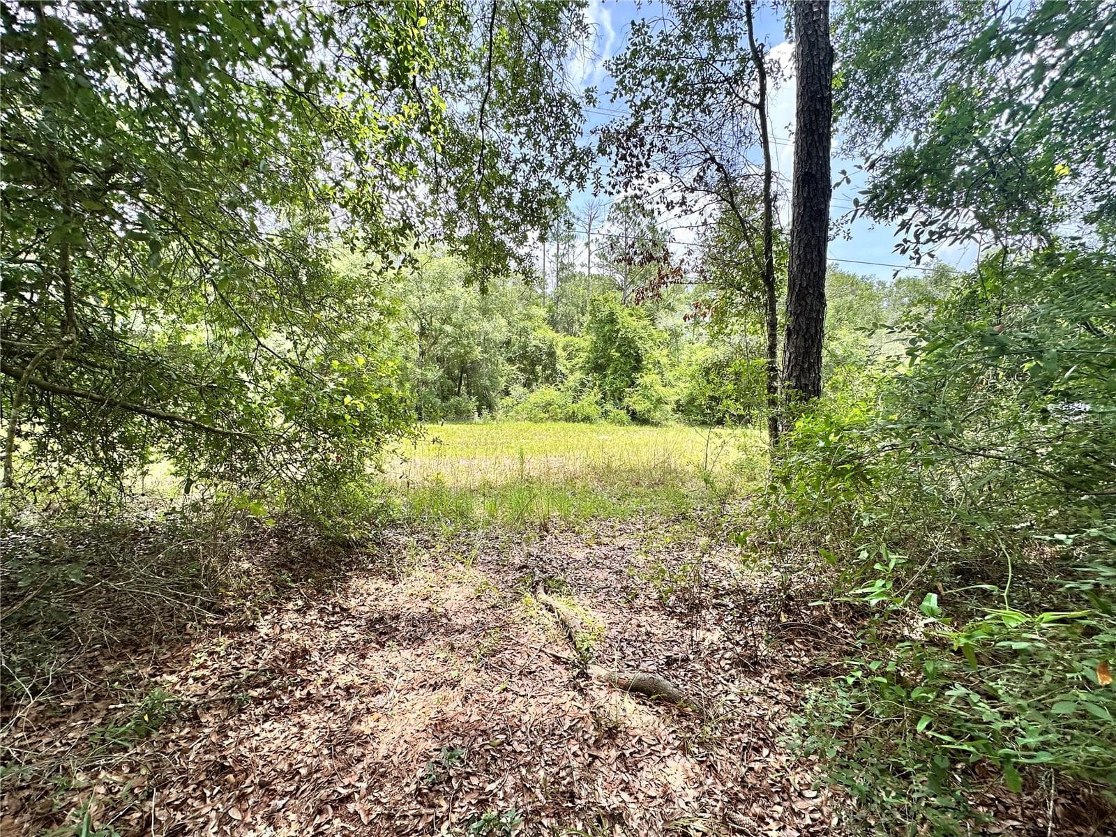 COUNTY ROAD 349 N. — photo 3 of 15