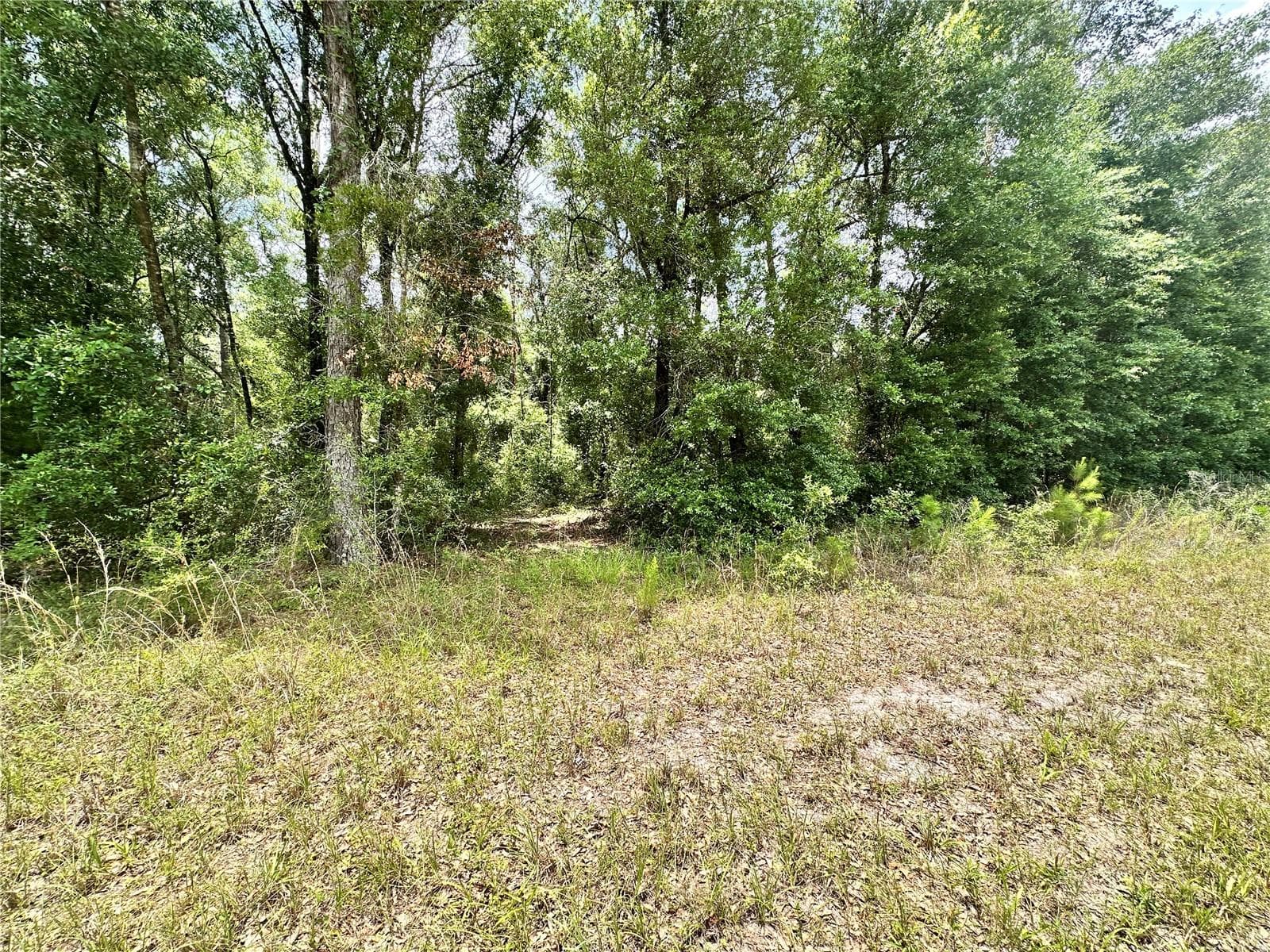 COUNTY ROAD 349 N. — photo 1 of 15