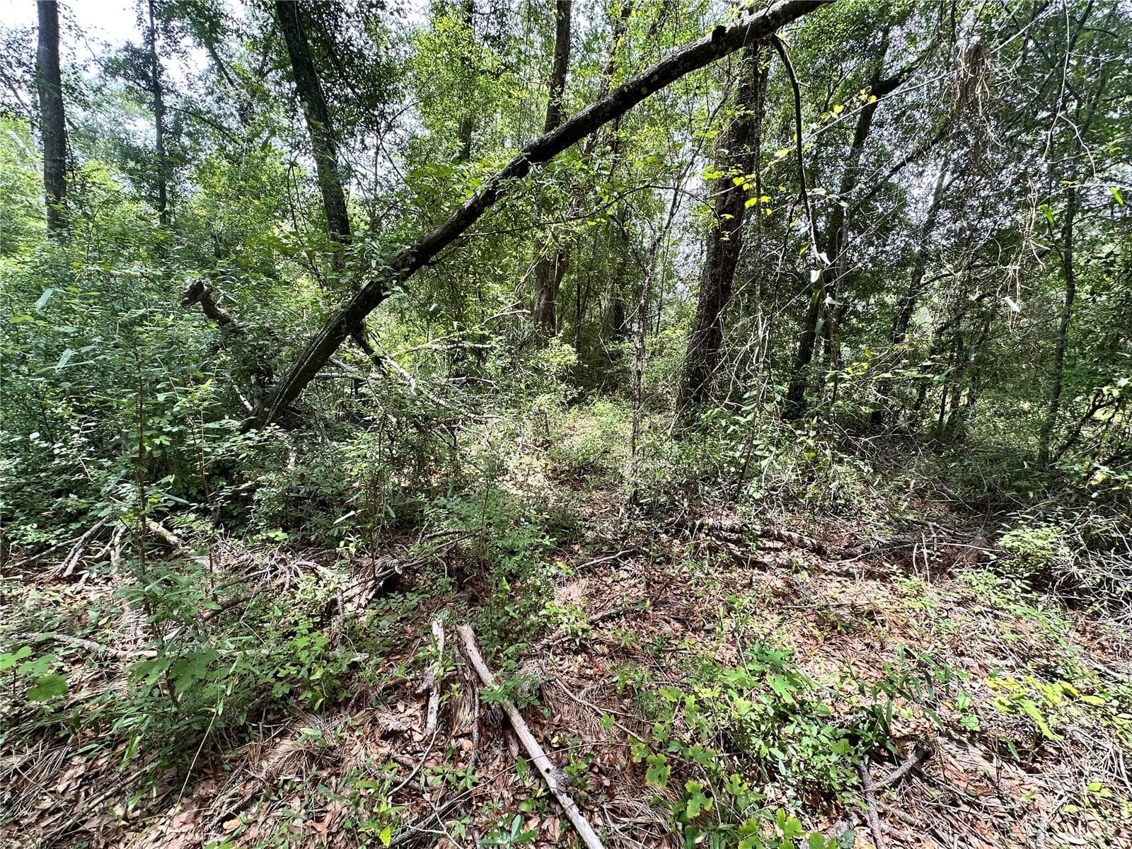 COUNTY ROAD 349 N. — photo 8 of 15