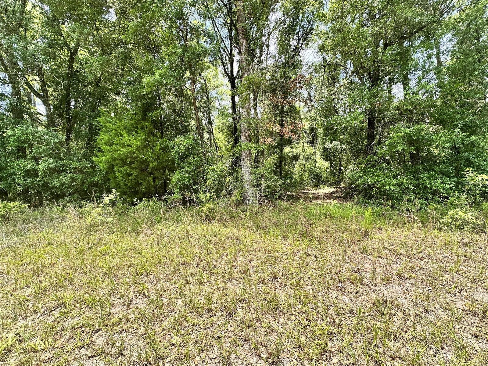 COUNTY ROAD 349 N. — photo 15 of 15