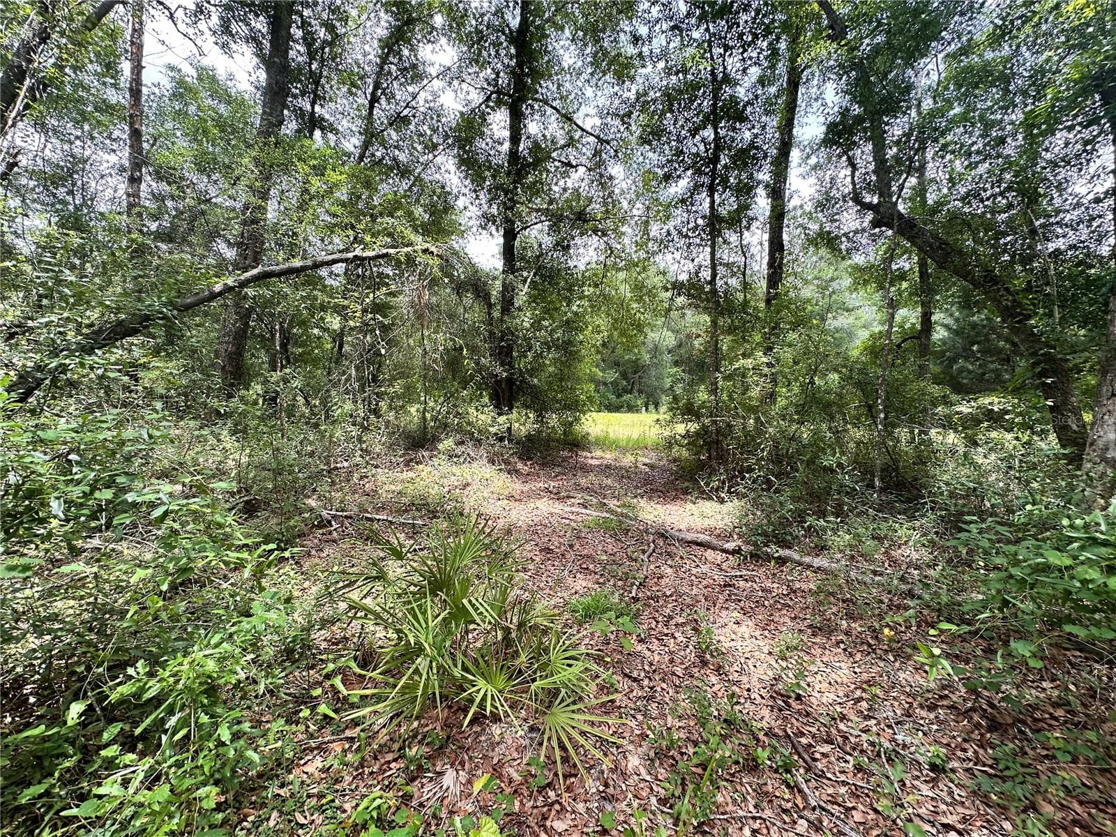 COUNTY ROAD 349 N. — photo 4 of 15