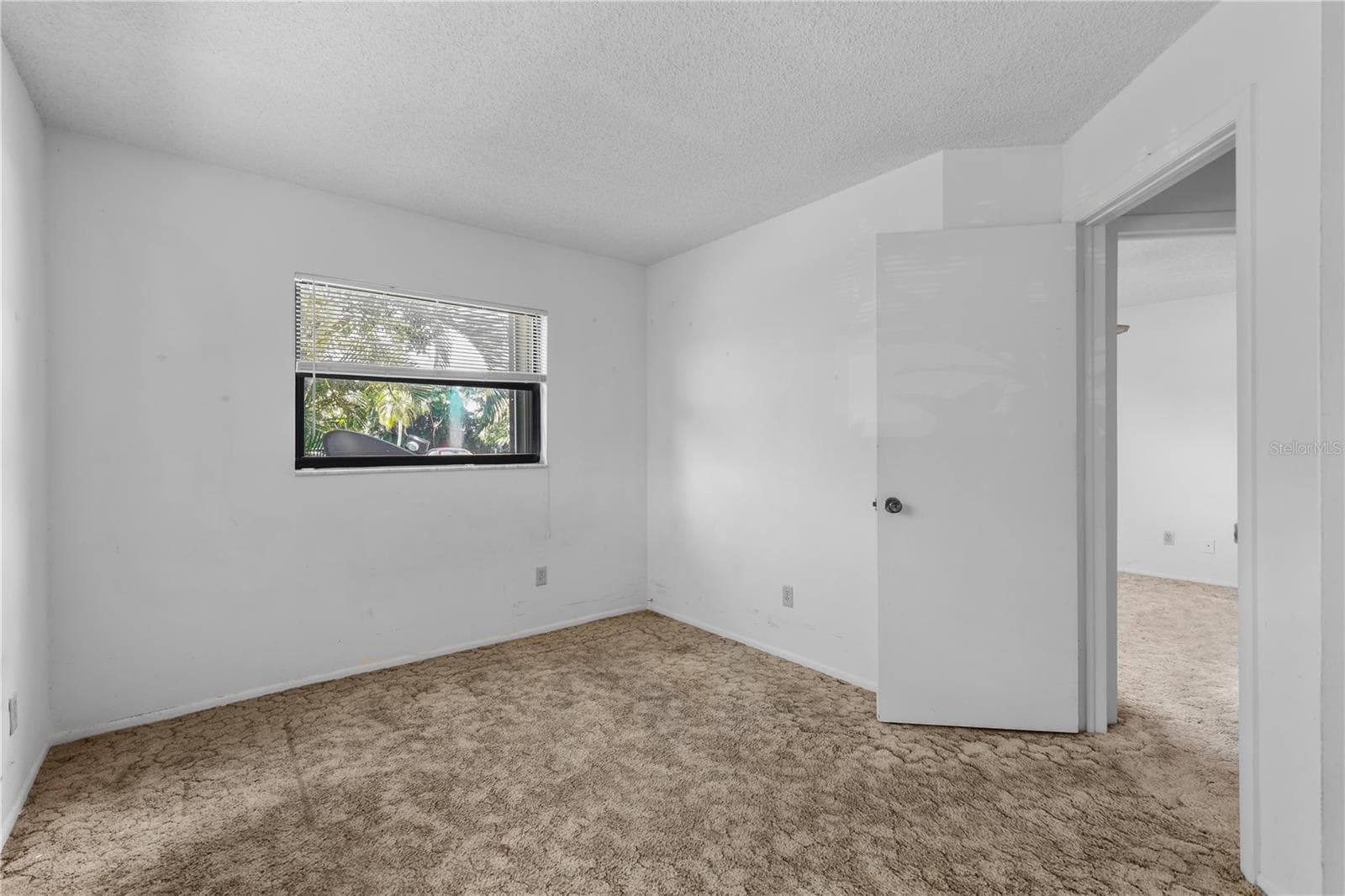 6212 PRINCIPIA DRIVE — photo 29 of 43