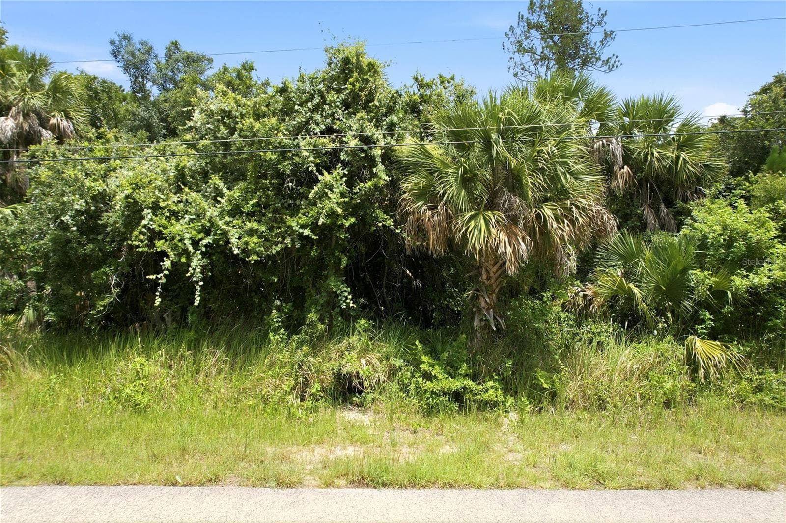 DERRICK STREET — photo 1 of 11