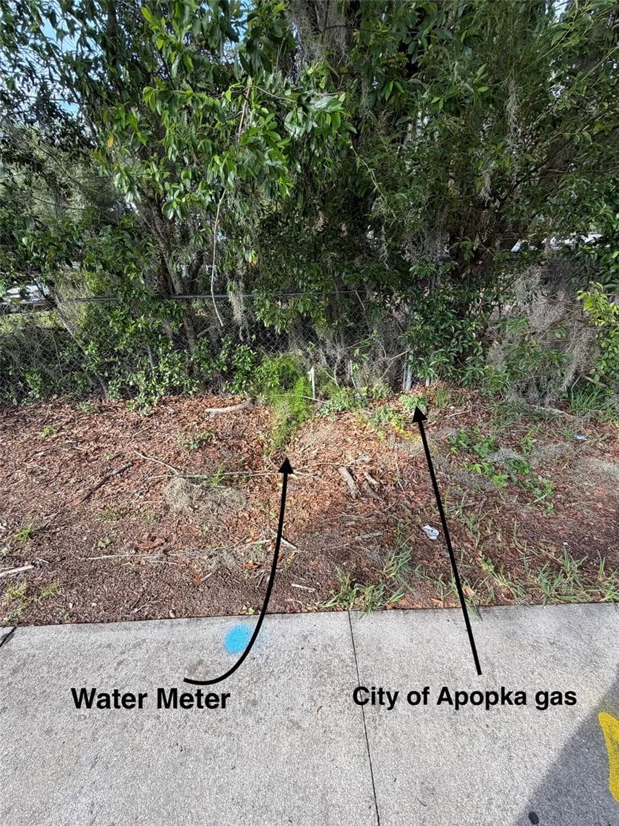 1185 APOPKA BOULEVARD — photo 6 of 9